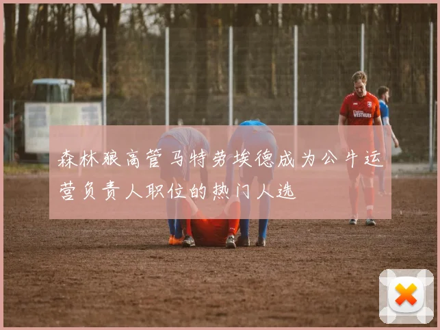 森林狼高管马特劳埃德成为公牛运营负责人职位的热门人选